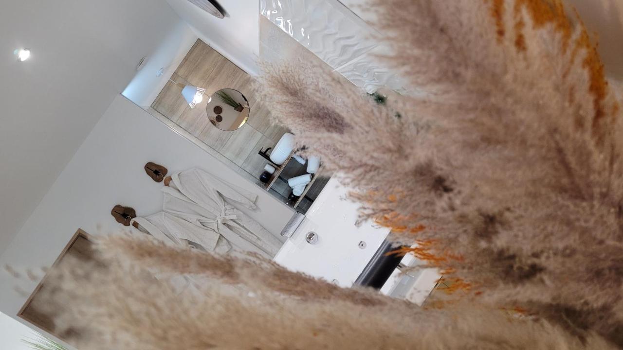 Studio Design Cocon Spa Prive A Deux Pas De Lille Bassee Zewnętrze zdjęcie